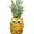 Pineapple Joe's Avatar