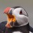 Mr Puffin's Avatar